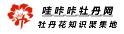哇咔咔牡丹网