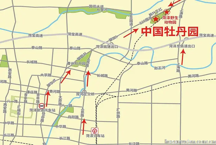 中国牡丹园