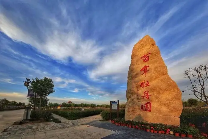 中国牡丹园(图3)