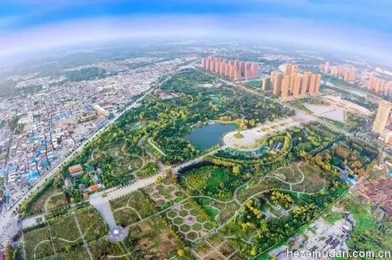 曹州牡丹园(图4)