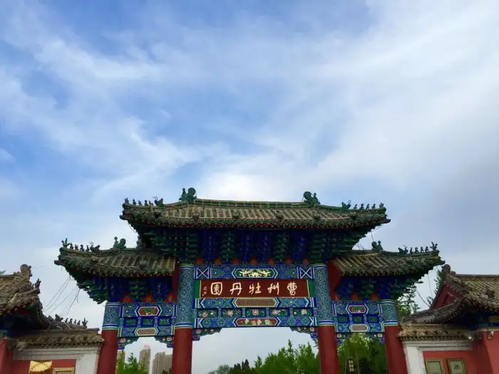 菏泽有几个牡丹园，哪个比较好？(图2)